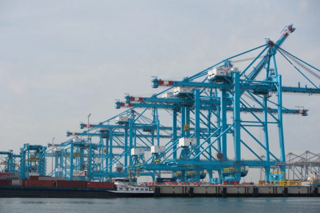 Rotterdam Cranes Sights Tour